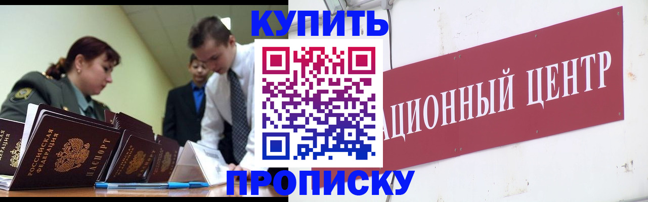 прописка поиск в Светогорске